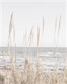 Picture of Beach Vass _GroupedProduct_Rectangle_Portrait_Photography _GroupedProduct_Rectangle_Portrait_Unframed_Print_Only_
