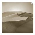 Picture of Desert Sand _GroupedProduct_Square_Photography _GroupedProduct_Square_Unframed_Print_Only_