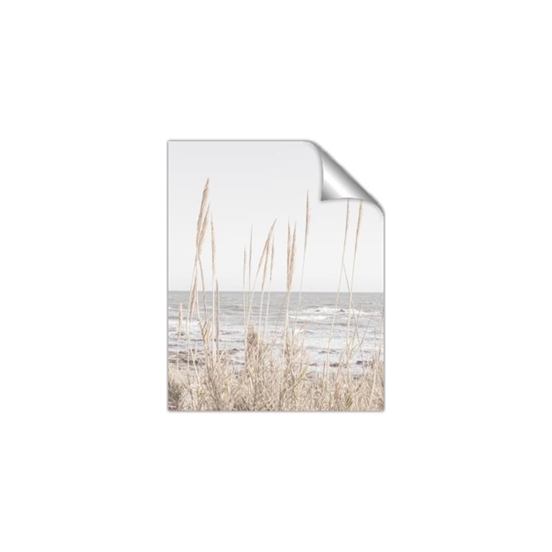 Picture of Beach Vass _GroupedProduct_Rectangle_Portrait_Photography _GroupedProduct_Rectangle_Portrait_Unframed_Print_Only_