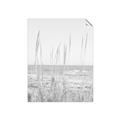 Picture of Beach Vass _GroupedProduct_Rectangle_Portrait_Photography _GroupedProduct_Rectangle_Portrait_Unframed_Print_Only_