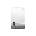 Picture of Looking for the Sun _GroupedProduct_Rectangle_Portrait_Photography _GroupedProduct_Rectangle_Portrait_Unframed_Print_Only_