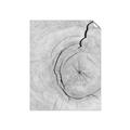 Picture of Cracked Wood _GroupedProduct_Rectangle_Portrait_Photography _GroupedProduct_Rectangle_Portrait_Unframed_Print_Only_