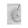 Picture of Cracked Wood _GroupedProduct_Rectangle_Portrait_Photography _GroupedProduct_Rectangle_Portrait_Unframed_Print_Only_