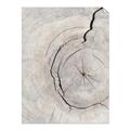 Picture of Cracked Wood _GroupedProduct_Rectangle_Portrait_Photography _GroupedProduct_Rectangle_Portrait_Unframed_Print_Only_