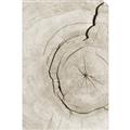 Picture of Cracked Wood _GroupedProduct_Rectangle_Portrait_Photography _GroupedProduct_Rectangle_Portrait_Unframed_Print_Only_