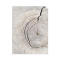 Picture of Cracked Wood _GroupedProduct_Rectangle_Portrait_Photography _GroupedProduct_Rectangle_Portrait_Unframed_Print_Only_