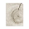 Picture of Cracked Wood _GroupedProduct_Rectangle_Portrait_Photography _GroupedProduct_Rectangle_Portrait_Unframed_Print_Only_
