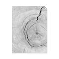 Picture of Cracked Wood _GroupedProduct_Rectangle_Portrait_Photography _GroupedProduct_Rectangle_Portrait_Unframed_Print_Only_