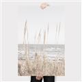 Picture of Beach Vass _GroupedProduct_Rectangle_Portrait_Photography _GroupedProduct_Rectangle_Portrait_Canvas_