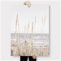 Picture of Beach Vass _GroupedProduct_Rectangle_Portrait_Photography _GroupedProduct_Rectangle_Portrait_Canvas_