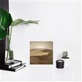 Picture of Desert Sand _GroupedProduct_Square_Photography _GroupedProduct_Square_Canvas_