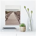 Picture of Lead Me to the Beach _GroupedProduct_Rectangle_Portrait_Photography _GroupedProduct_Rectangle_Portrait_Canvas_