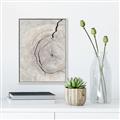 Picture of Cracked Wood _GroupedProduct_Rectangle_Portrait_Photography _GroupedProduct_Rectangle_Portrait_Canvas_Framed_