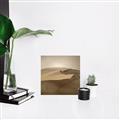 Picture of Desert Sand _GroupedProduct_Square_Photography _GroupedProduct_Square_Unframed_Print_Only_