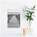 Picture of Lead Me to the Beach _GroupedProduct_Rectangle_Portrait_Photography _GroupedProduct_Rectangle_Portrait_Unframed_Print_Only_