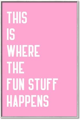 Picture of Fun Stuff Happens