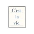 Picture of C'est La Vie II _GroupedProduct_Rectangle_Portrait_Canvas_Framed_