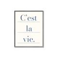 Picture of C'est La Vie II _GroupedProduct_Rectangle_Portrait_Canvas_Framed_