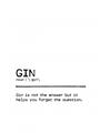 Picture of Quote Gin Question _GroupedProduct_Rectangle_Portrait_Unframed_Print_Only_