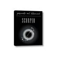Picture of Scorpio Zodiac Print Art _GroupedProduct_Rectangle_Portrait_Canvas_