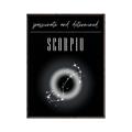 Picture of Scorpio Zodiac Print Art _GroupedProduct_Rectangle_Portrait_Canvas_Framed_