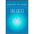 Picture of Aquarius Zodiac Print Art _GroupedProduct_Rectangle_Portrait_Canvas_Framed_