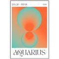Picture of Aquarius Umbre _GroupedProduct_Rectangle_Portrait_Canvas_Framed_