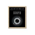 Picture of Scorpio Zodiac Print Art _GroupedProduct_Rectangle_Portrait_Framed_Matted_
