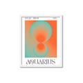 Picture of Aquarius Umbre _GroupedProduct_Rectangle_Portrait_Framed_Matted_