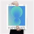 Picture of Capricorn Umbre _GroupedProduct_Rectangle_Portrait_Canvas_