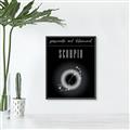 Picture of Scorpio Zodiac Print Art _GroupedProduct_Rectangle_Portrait_Canvas_Framed_