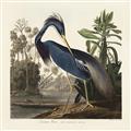 Picture of Vintage Heron Bird _GroupedProduct_Rectangle_Landscape_Unframed_Print_Only_