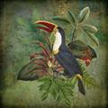 Picture of Tropical Paradise Toucan Bird _GroupedProduct_Square_Unframed_Print_Only_