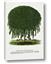 Picture of Kilmarnock Weeping Willow Tree Lithograph
