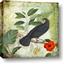 Picture of Tropical Paradise Birds Garden