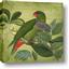 Picture of Vintage Tropical Birds II