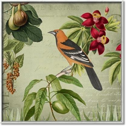 Picture of Tangerine Vintage Bird