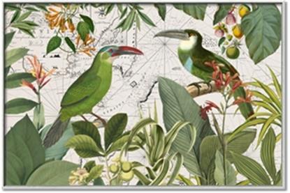Picture of Green Nostalgic Tropical Birds