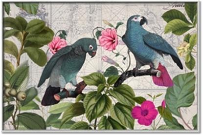 Picture of Blue Nostalgic Tropical Parrot Birds
