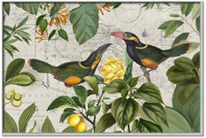 Picture of Parrots Nostalgic Journey 2