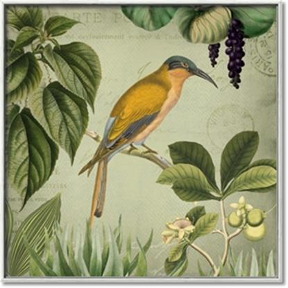 Picture of Yellow Nostalgic Tropical Birds