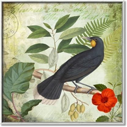 Picture of Tropical Paradise Birds Garden