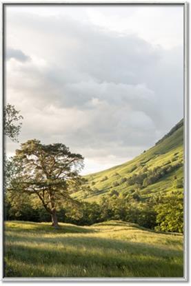 Picture of Green Spring Highlands