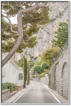 Picture of Cobbled Streets in Spring