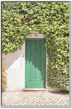 Picture of Green Door with Lush Leaves