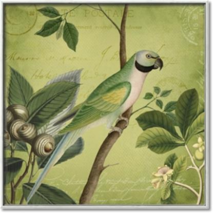Picture of Vintage Tropical Birds I