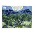 Picture of Vincent Van Gogh's Olive Trees With the Alpilles (1889) _GroupedProduct_Rectangle_Landscape_Canvas_