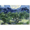 Picture of Vincent Van Gogh's Olive Trees With the Alpilles (1889) _GroupedProduct_Rectangle_Landscape_Canvas_
