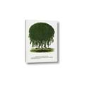Picture of Kilmarnock Weeping Willow Tree Lithograph _GroupedProduct_Rectangle_Portrait_Canvas_