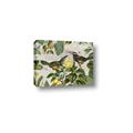 Picture of Parrots Nostalgic Journey 2 _GroupedProduct_Rectangle_Landscape_Canvas_